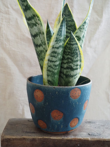 Large planter - Teal spotty dotties