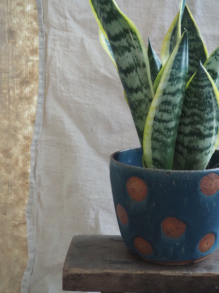 Large planter - Teal spotty dotties