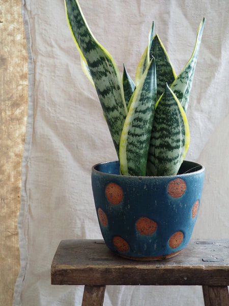 Large planter - Teal spotty dotties