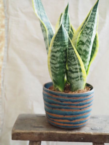 Medium planter - teal with stripes