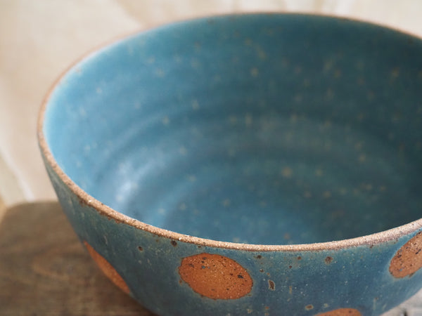 Large bowl - spotty dotty