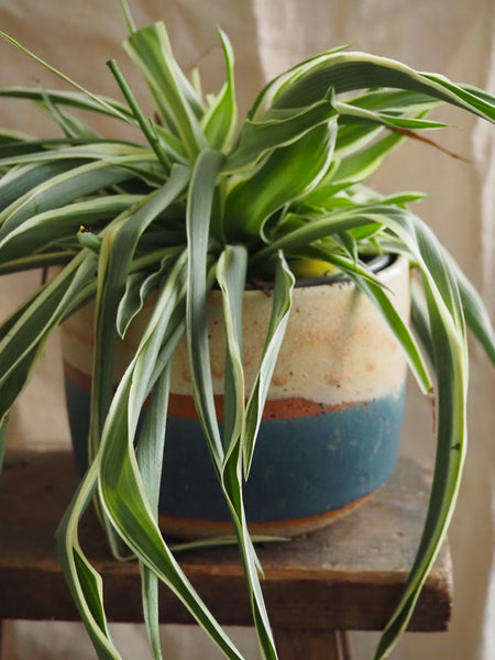 Large planter - Shore