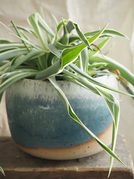 Large planter - Sea Spray