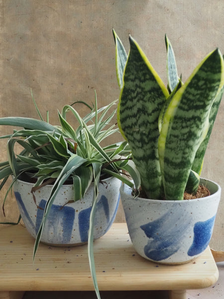 Large planter - blue stripes