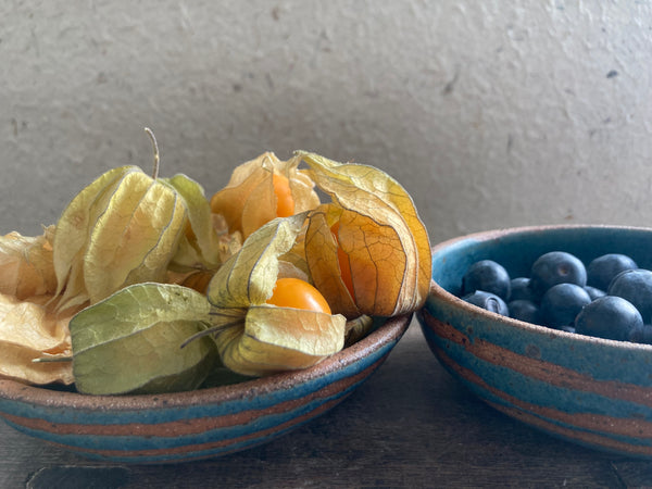 Tapas dish - teal stripes