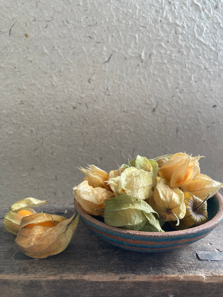 Tapas dish - teal stripes