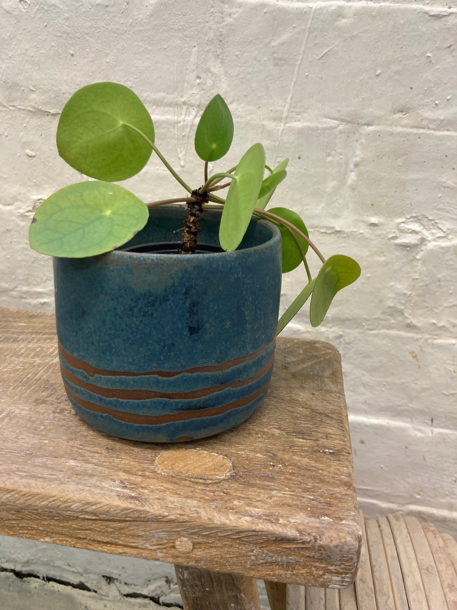 Medium planter - teal with stripes