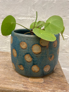 Medium planter - teal with spots