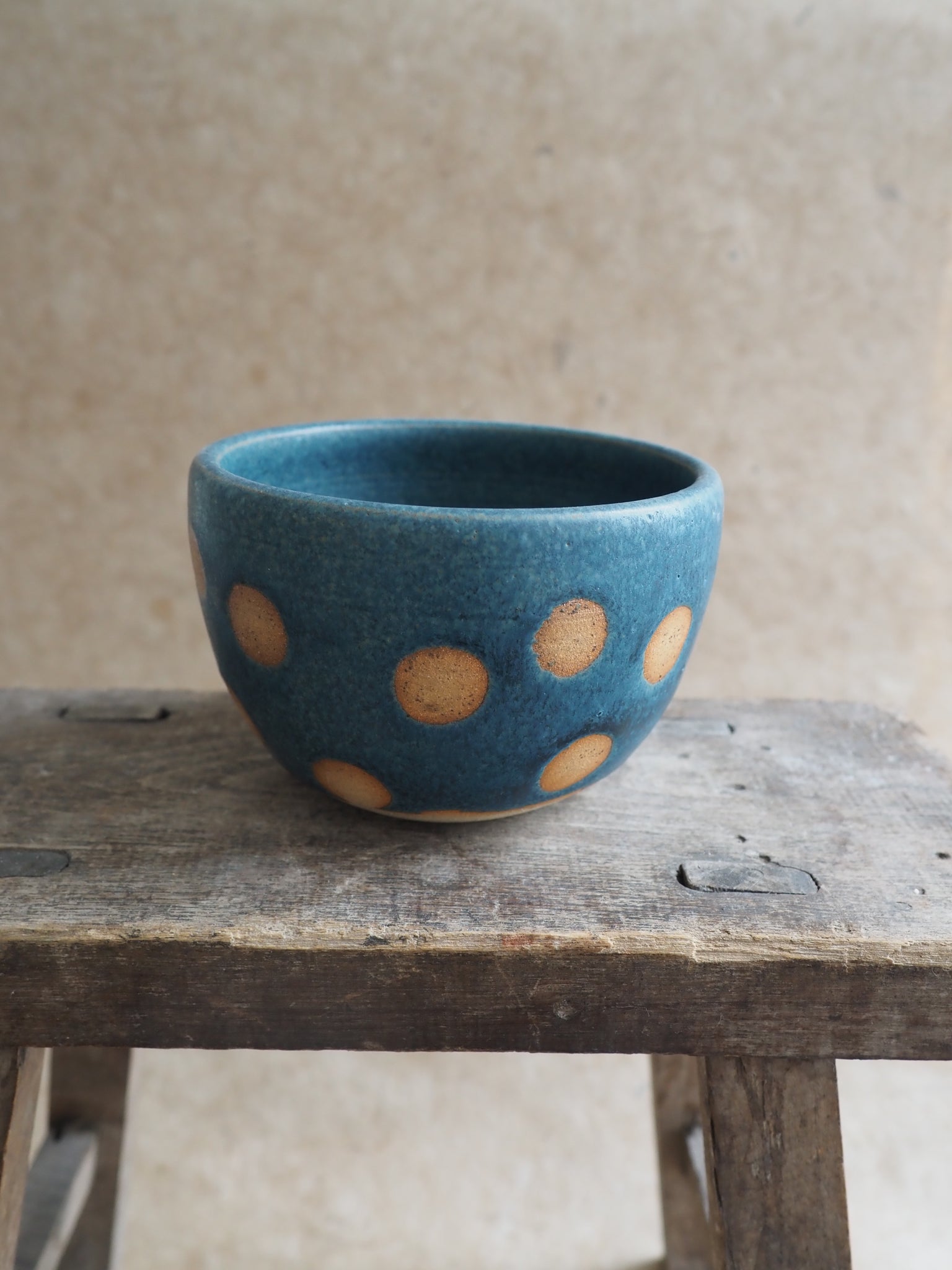 Bowl - Teal Spotty Dotty