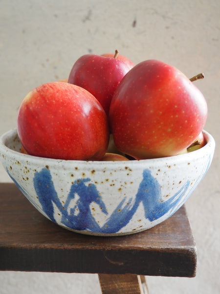 Large bowl - blue wiggle